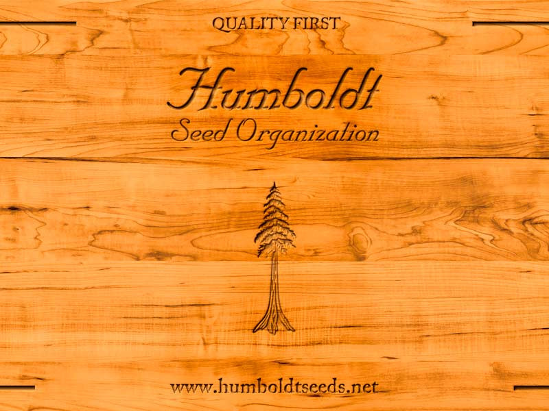 Humboldt Seeds